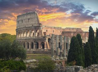 the colosseum at dusk with cyprus trees